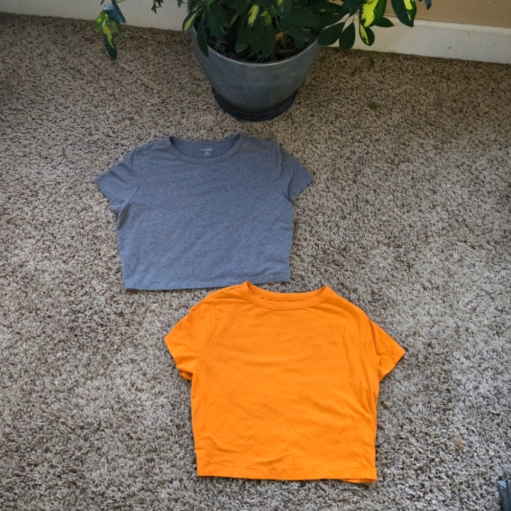 Wild Fable Cropped Fitted Tees Women's Sz XXL